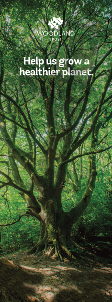 A Woodland Trust pull-up banner created in RightMarket